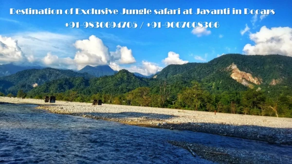 Destination of Exclusive Jungle safari at Jayanti in Dooars