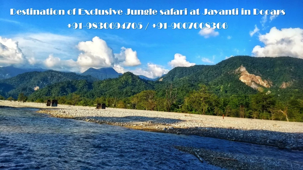 destination of exclusive jungle safari at jayanti