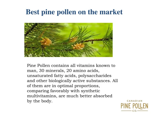Pine Pollen Powder and Tincture