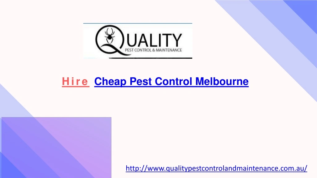 hire cheap pest control melbourne