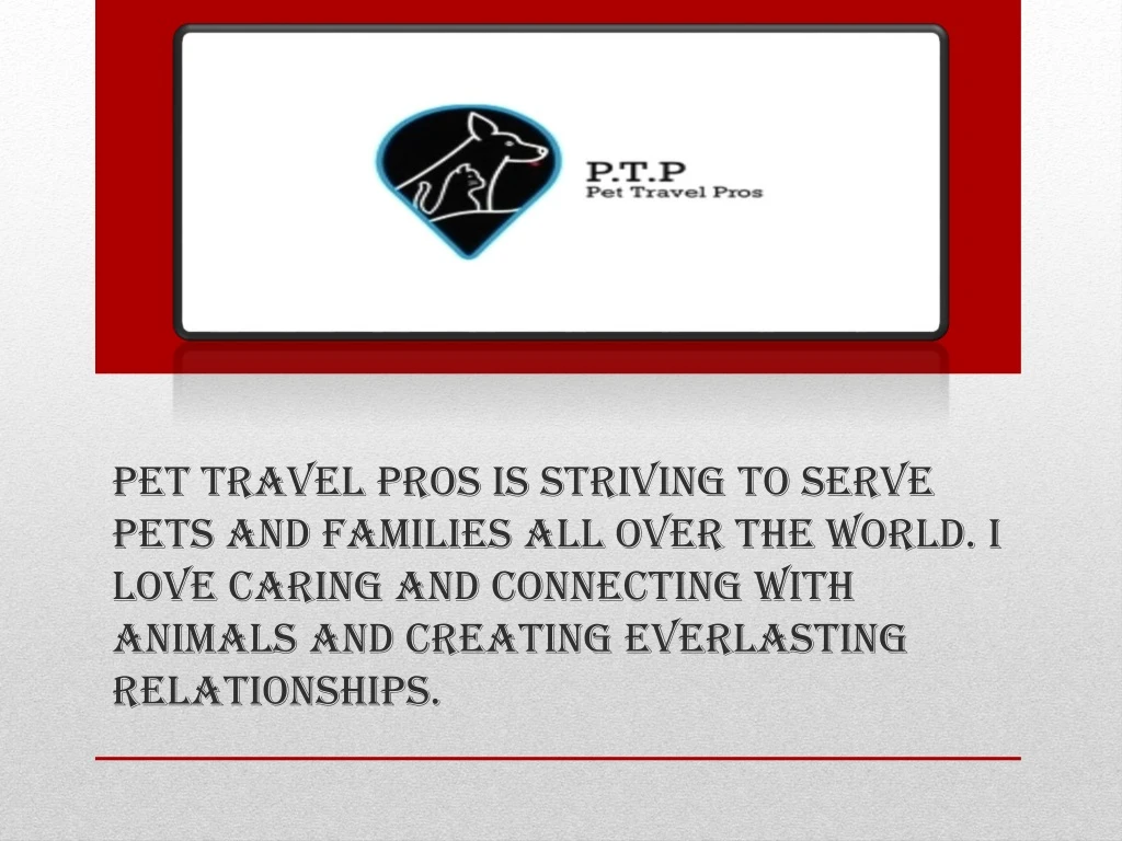 pet travel pros is striving to serve pets