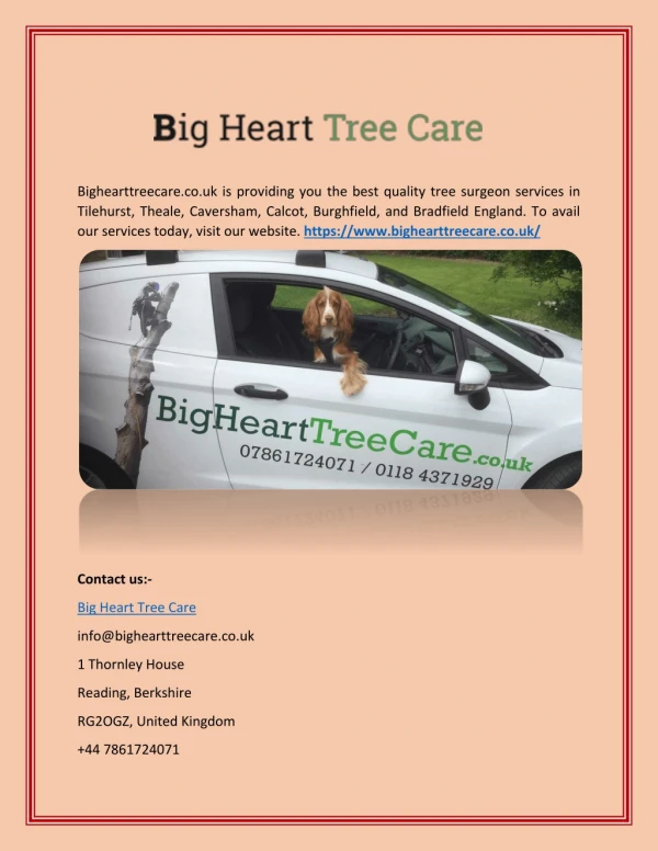 Tree Surgeon Tilehurst - Bighearttreecare.co.uk