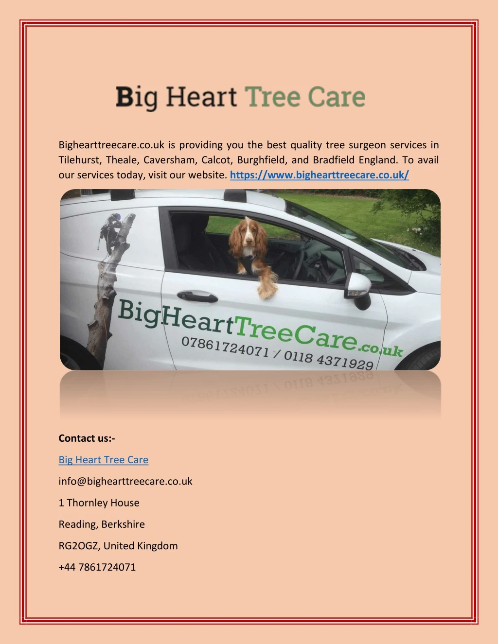 bighearttreecare co uk is providing you the best