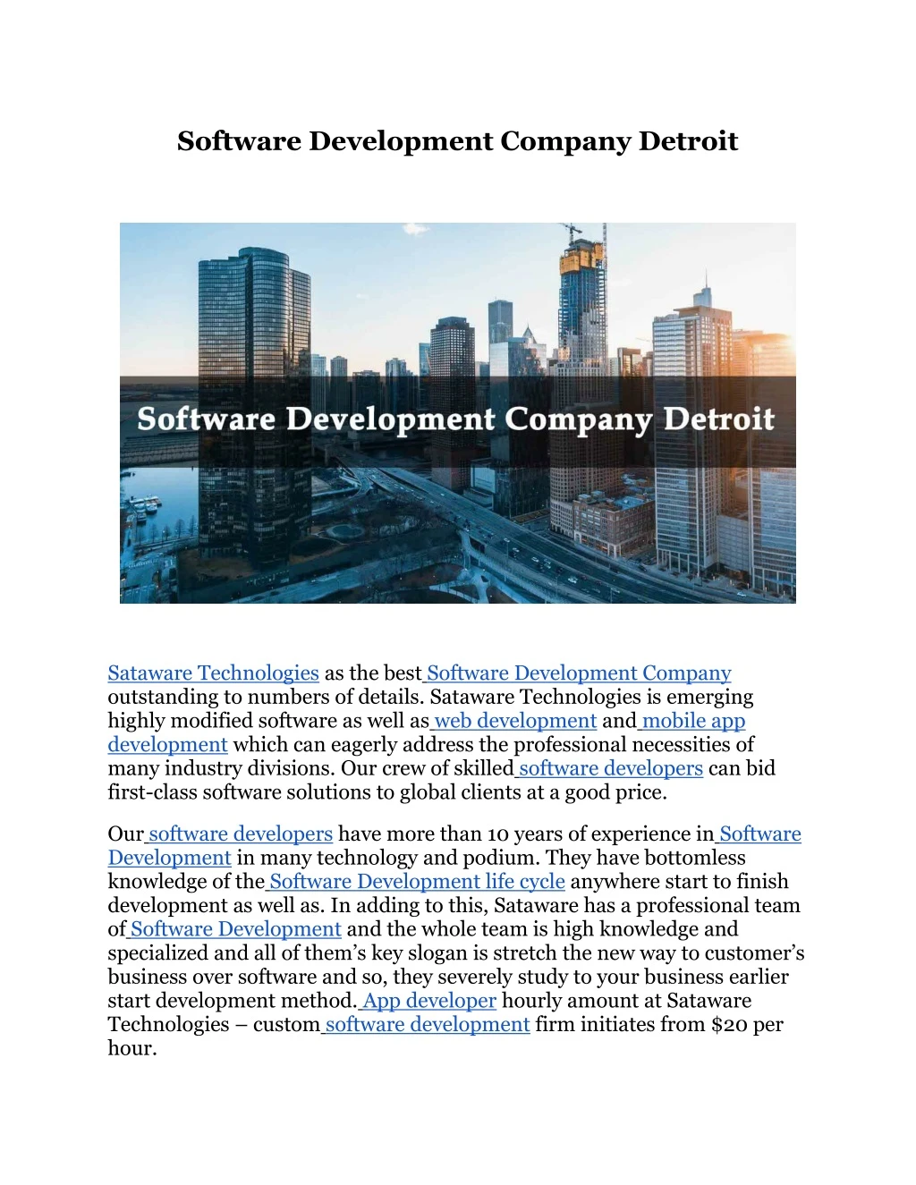 software development company detroit