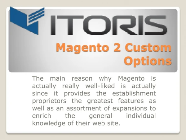 magento 2 custom options