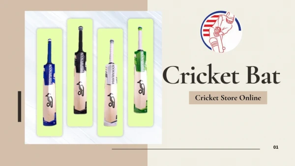 Find the Best Cricket Bat - Cricket Store Online