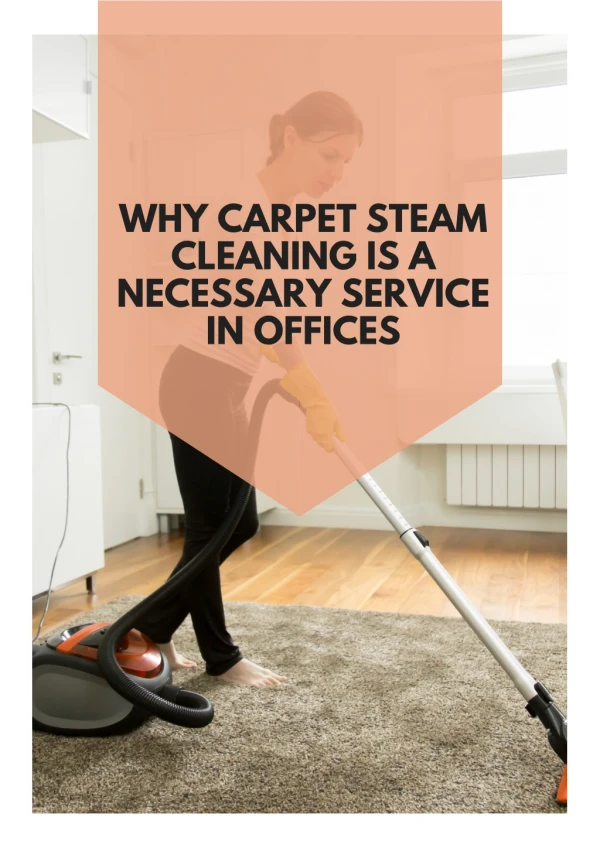 Why Carpet Steam Cleaning Is a Necessary Service in Offices