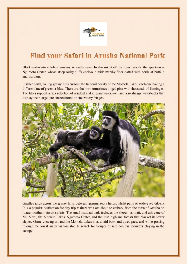 Find your Safari in Arusha National Park