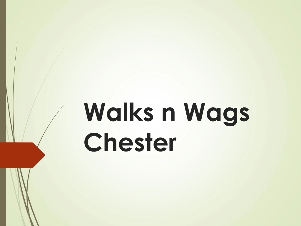 walks n wags chester