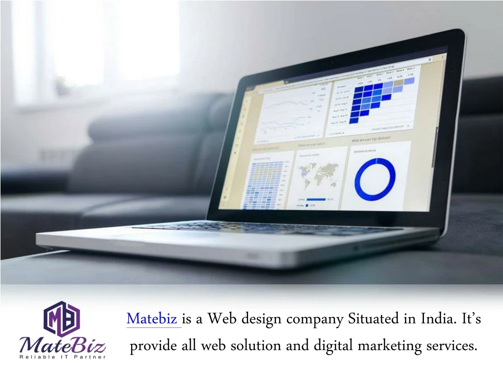 matebiz is a web design company situated in india