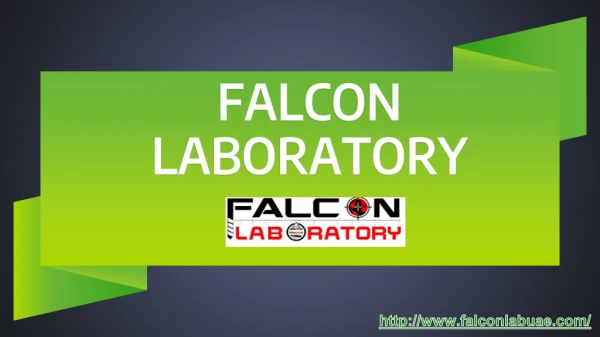 falcon laboratory