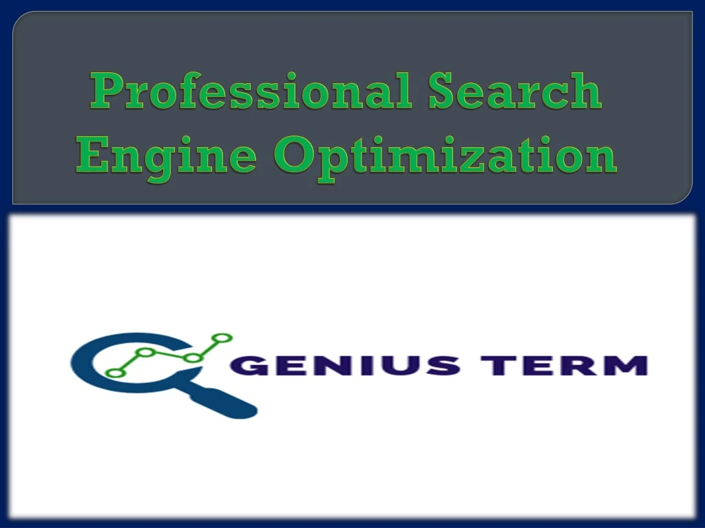 professional search engine optimization