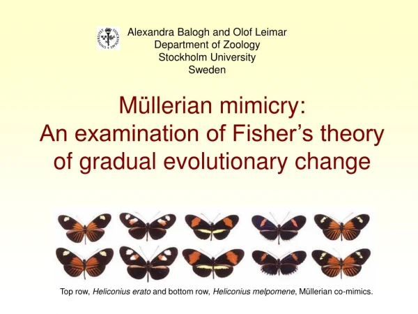 Müllerian mimicry:  An examination of Fisher’s theory of gradual evolutionary change
