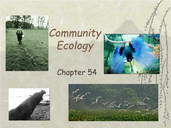 Community  Ecology