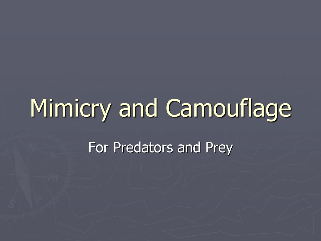 mimicry and camouflage