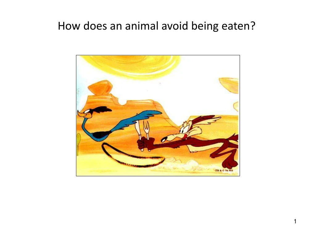 how does an animal avoid being eaten