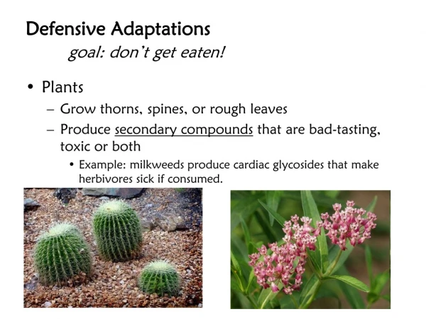 Defensive Adaptations  goal: don’t get eaten!
