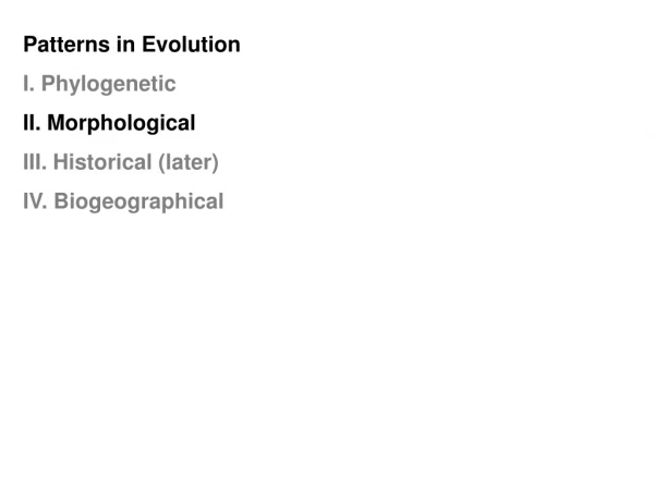 Patterns in Evolution I. Phylogenetic II. Morphological III. Historical (later)