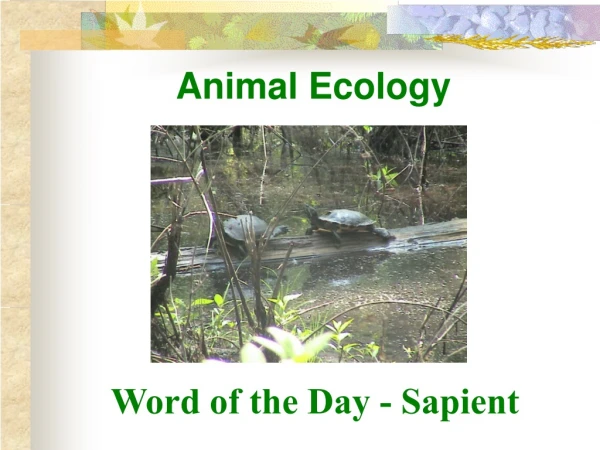 Animal Ecology