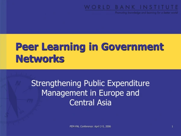 Peer Learning in Government Networks