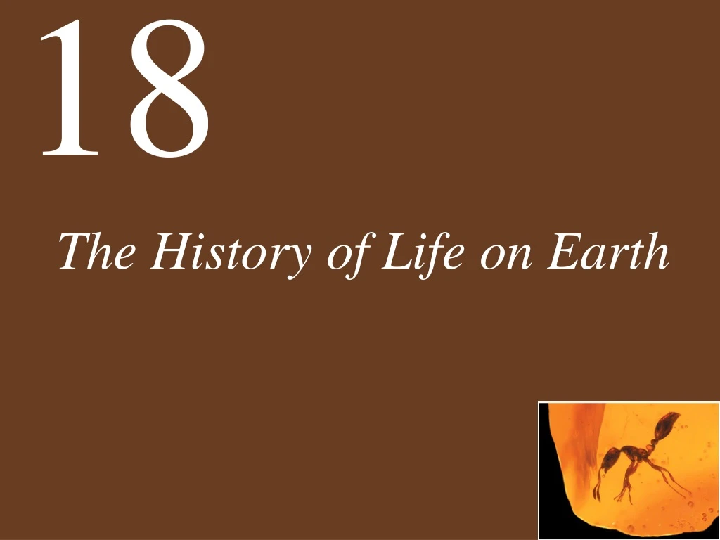 the history of life on earth