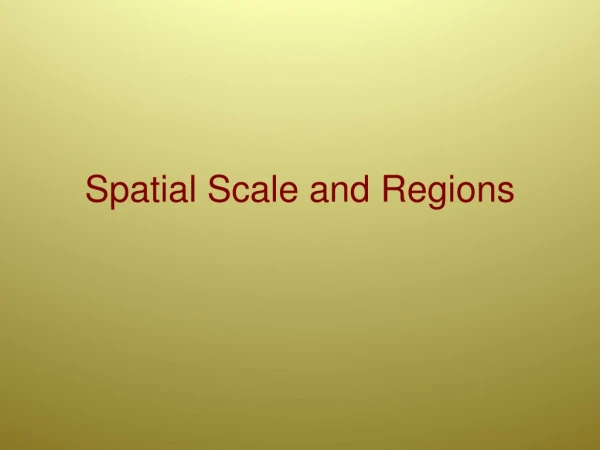 Spatial Scale and Regions