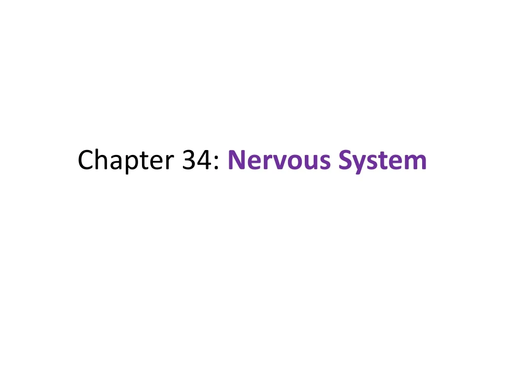 chapter 34 nervous system
