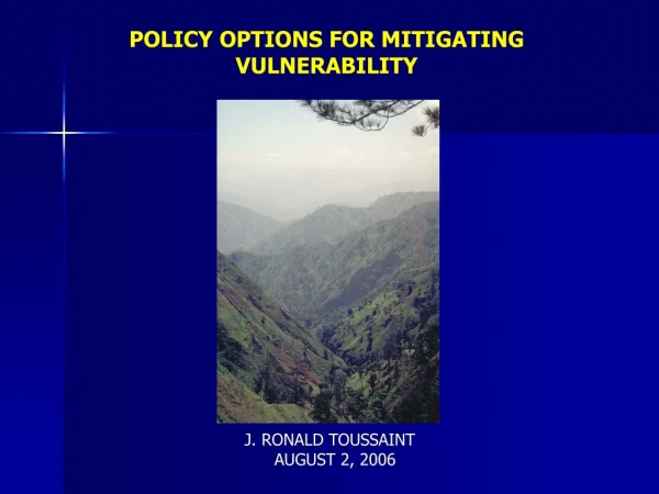 POLICY OPTIONS FOR MITIGATING VULNERABILITY