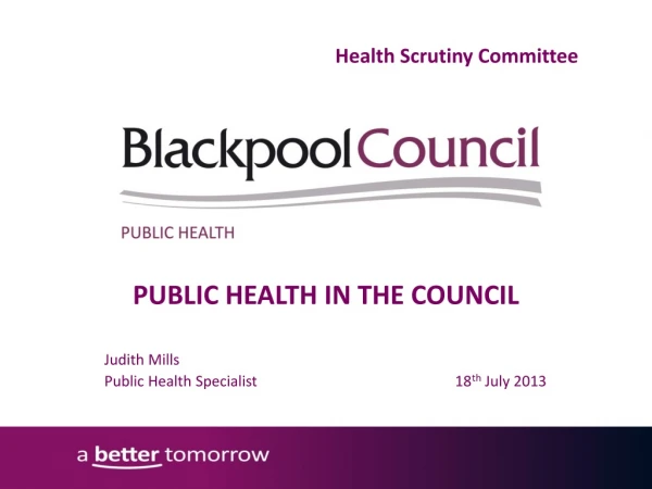 PUBLIC HEALTH IN THE COUNCIL Judith Mills