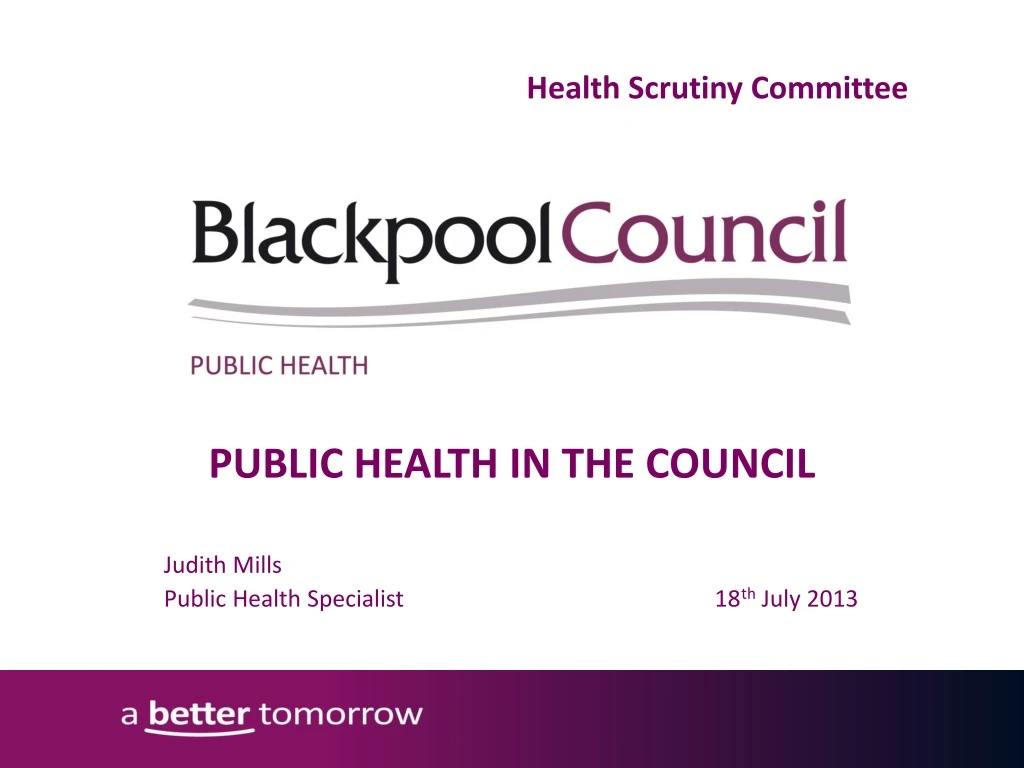 public health in the council judith mills public health specialist 18 th july 2013