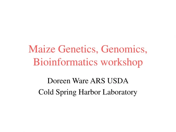 Maize Genetics, Genomics, Bioinformatics workshop