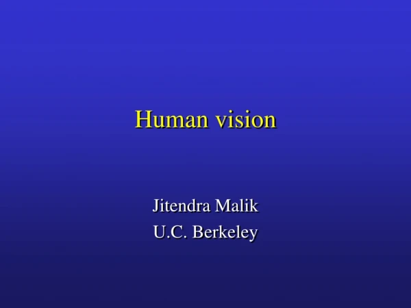 Human vision