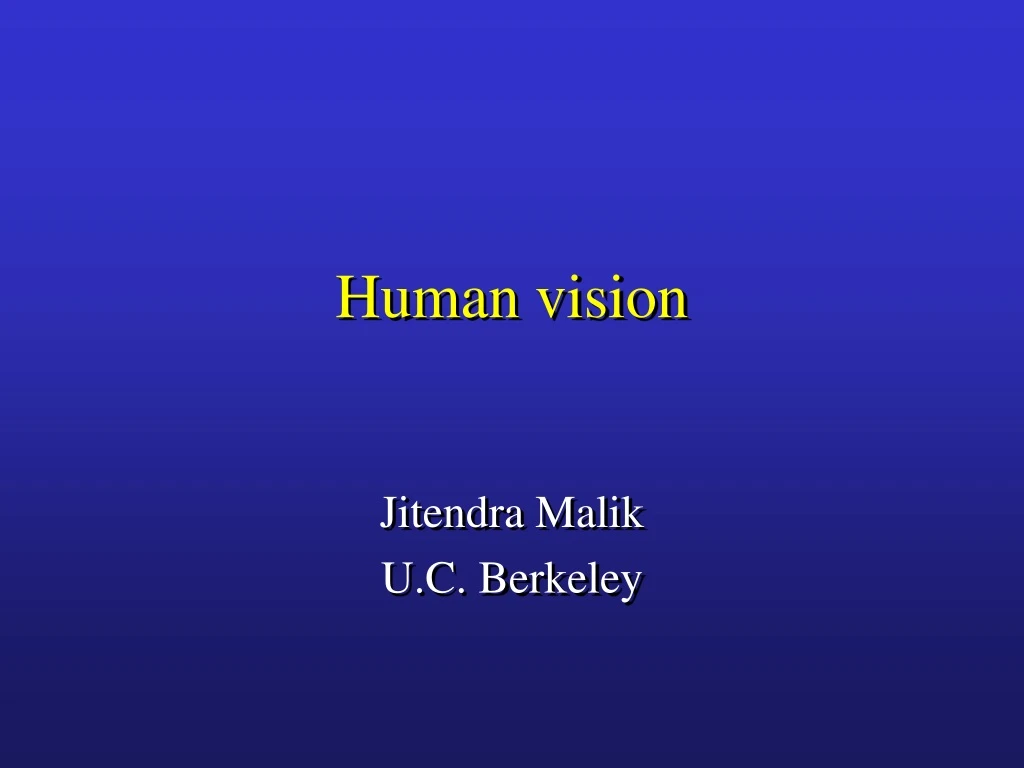 human vision