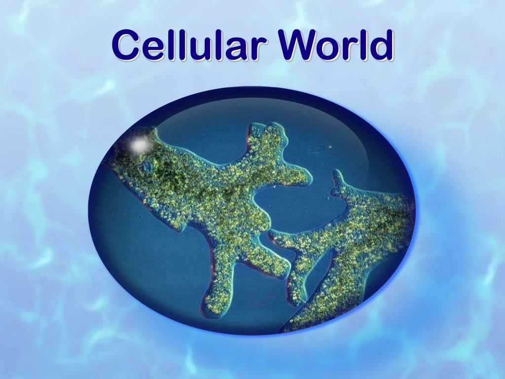 cellular world