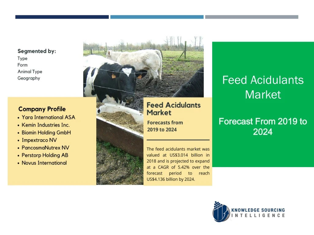 feed acidulants market forecast from 2019 to 2024