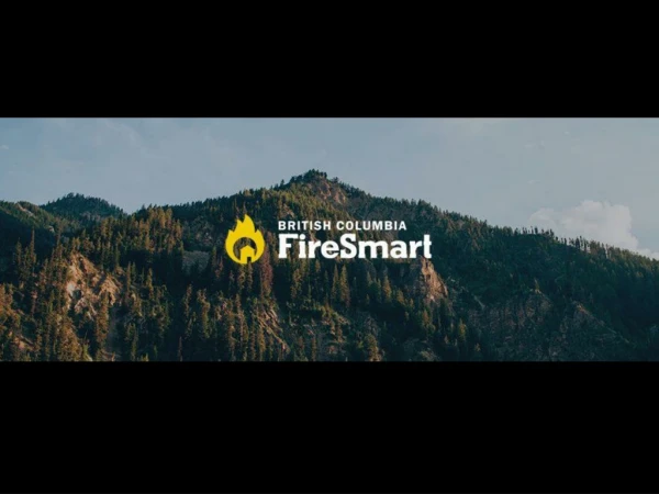 It’s time to get  FireSmart TM about wildfires in B.C.
