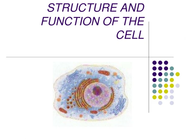 STRUCTURE AND FUNCTION OF THE CELL