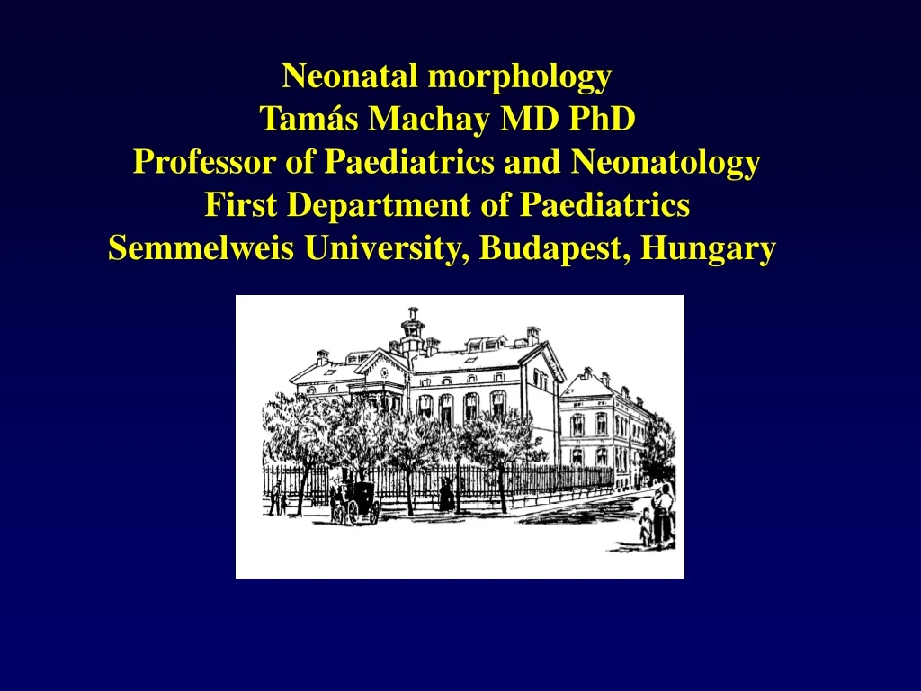 neonatal morphology tam s machay md phd professor