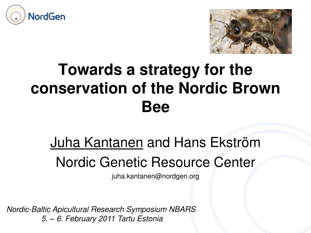 towards a strategy for the conservation of the nordic brown bee