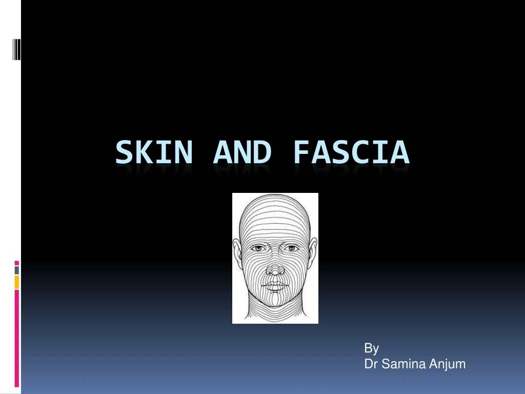 skin and fascia