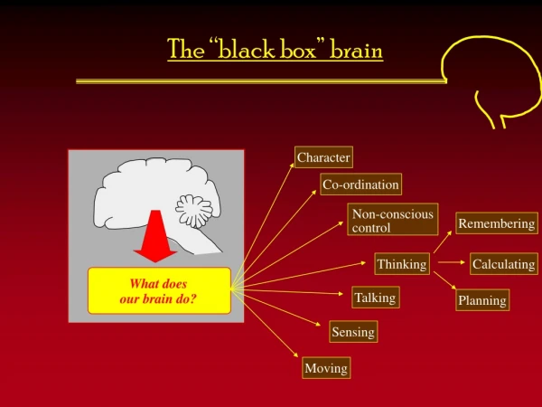 The “black box” brain