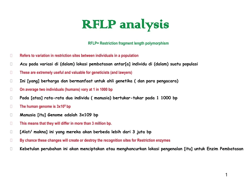 rflp analysis