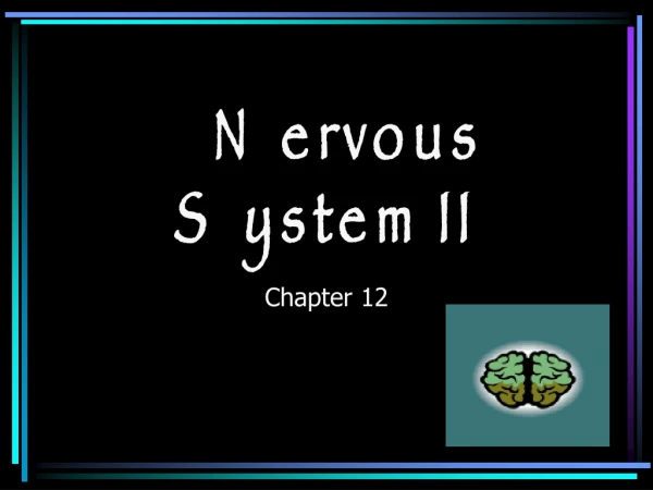 Nervous System II