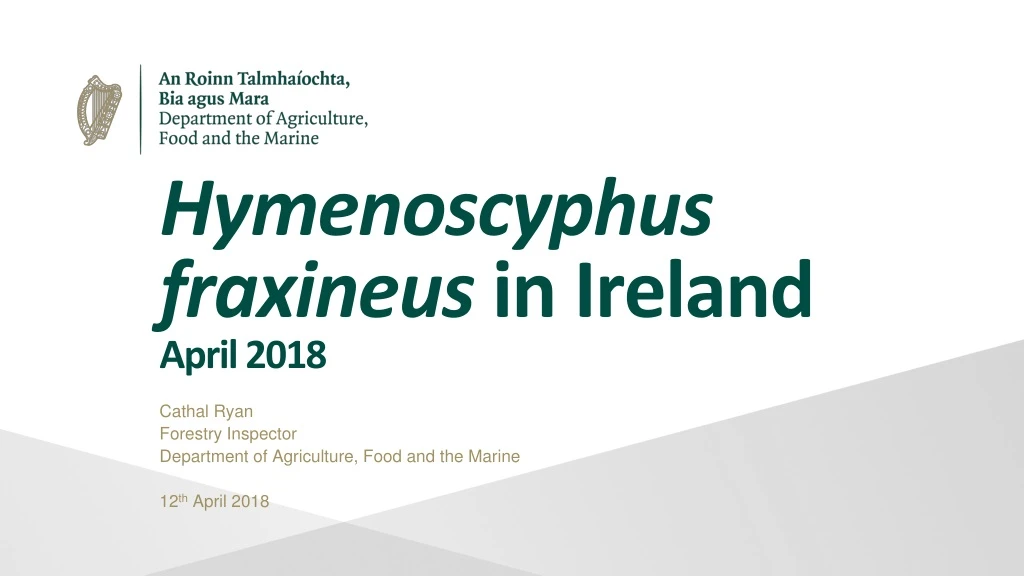 hymenoscyphus fraxineus in ireland april 2018