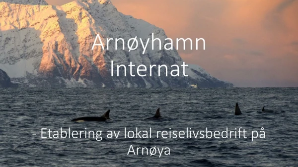 Arnøyhamn Internat