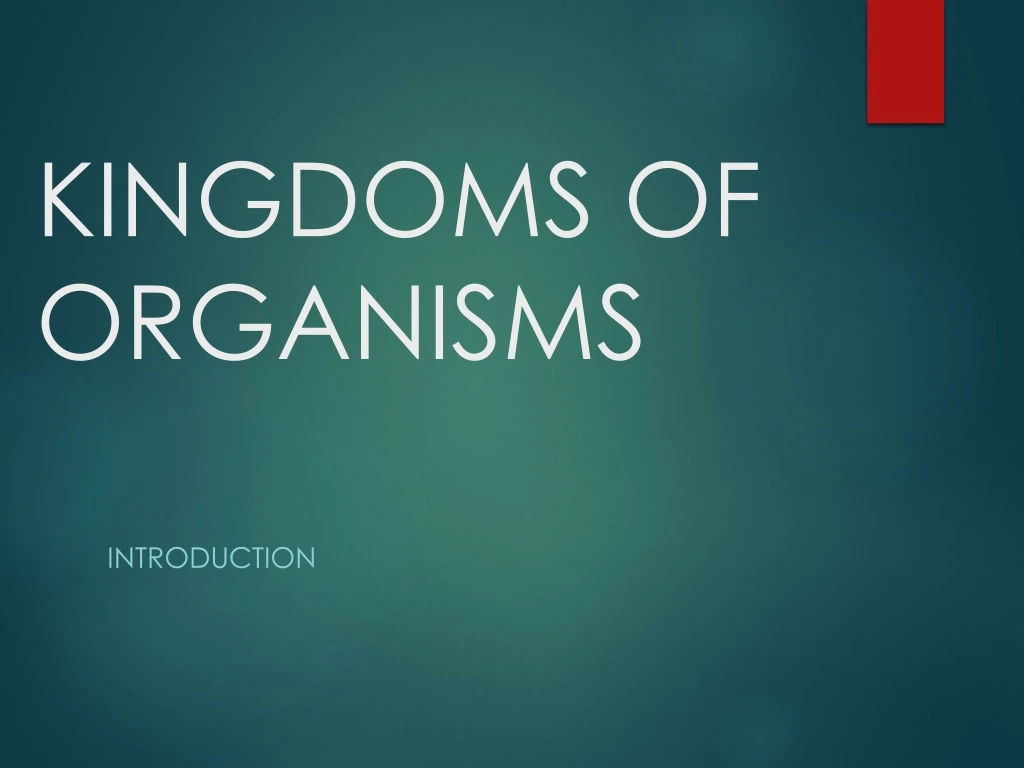 kingdoms of organisms