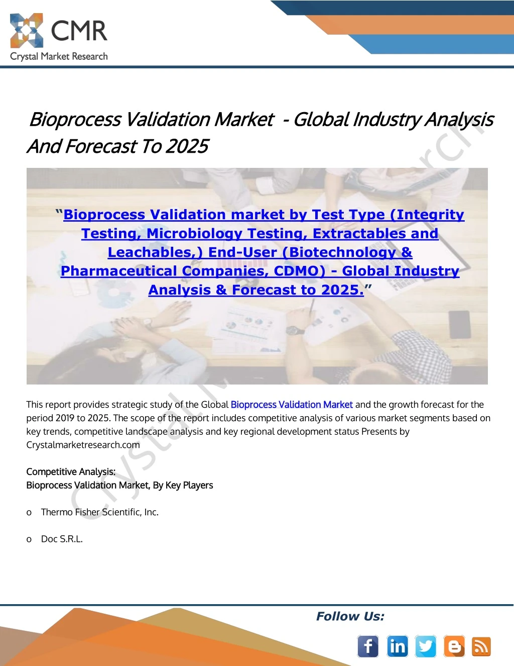 bioprocess validation market bioprocess