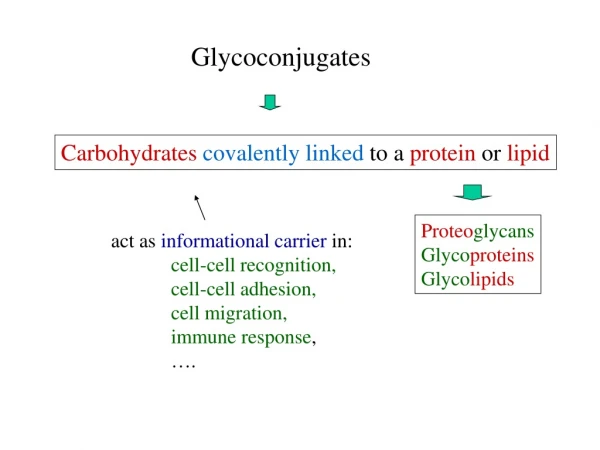 Glycoconjugates