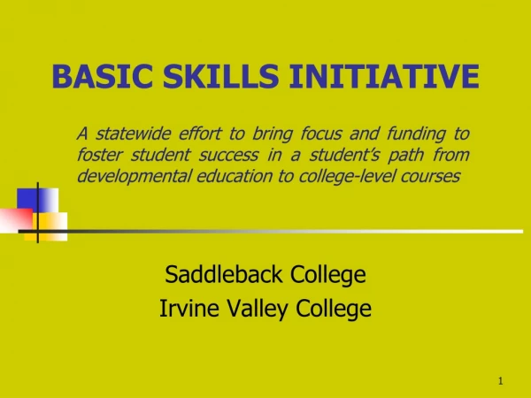 BASIC SKILLS INITIATIVE