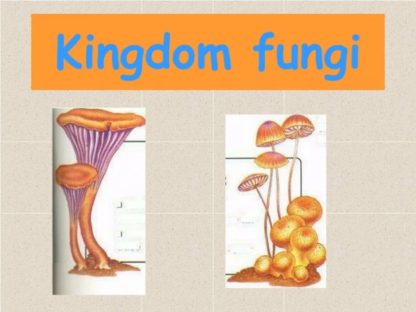 Kingdom fungi